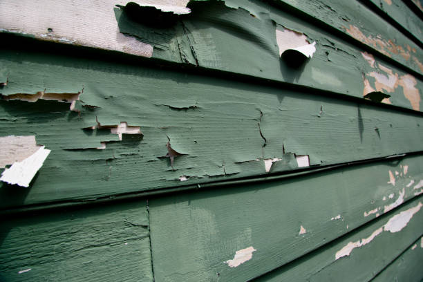 Best Shed Removal  in Saddle Rock, NY